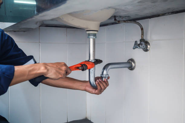 Best Best Plumbers Near Me  in Sloan, IA