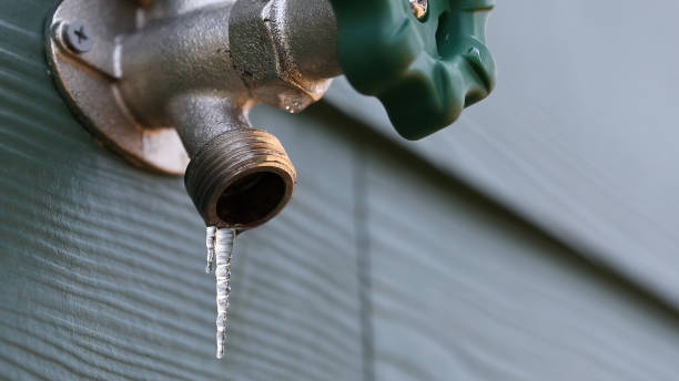Best Plumbing Services Near Me  in Sloan, IA